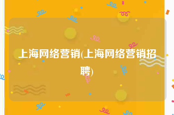 上海网络营销(上海网络营销招聘)