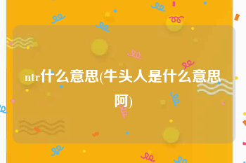 ntr什么意思(牛头人是什么意思阿)