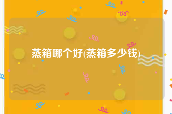 蒸箱哪个好(蒸箱多少钱)