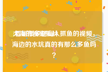 大海的视频短片
:看到很多赶海人抓鱼的视频，海边的水坑真的有那么多鱼吗？