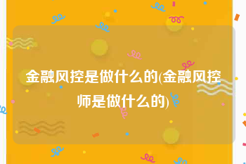 金融风控是做什么的(金融风控师是做什么的)