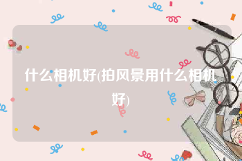 什么相机好(拍风景用什么相机好)