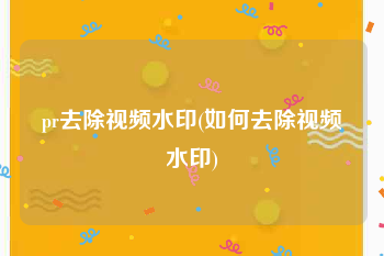 pr去除视频水印(如何去除视频水印)