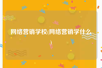 网络营销学校(网络营销学什么)