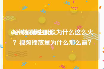 61794短视频亚洲
:短视频博主啊段为什么这么火？视频播放量为什么那么高？