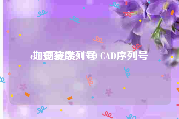 cad安装序列号:如何安装AUTO CAD序列号