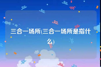 三合一场所(三合一场所是指什么)
