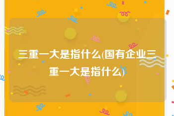 三重一大是指什么(国有企业三重一大是指什么)