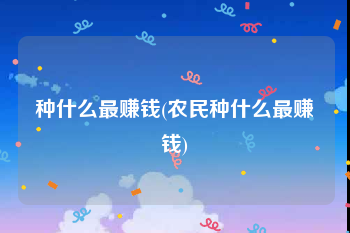 种什么最赚钱(农民种什么最赚钱)