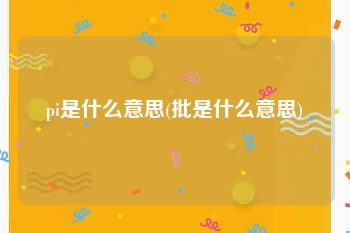 pi是什么意思(批是什么意思)
