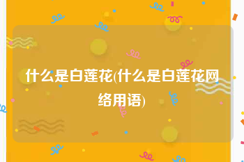 什么是白莲花(什么是白莲花网络用语)