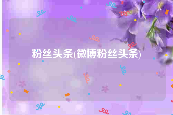 粉丝头条(微博粉丝头条)