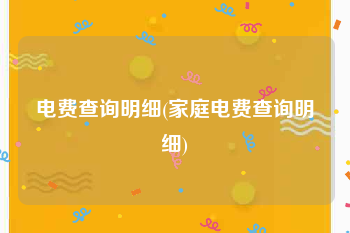电费查询明细(家庭电费查询明细)