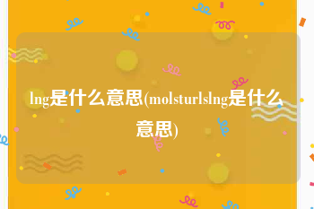 lng是什么意思(molsturlslng是什么意思)