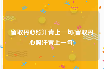 留取丹心照汗青上一句(留取丹心照汗青上一句)