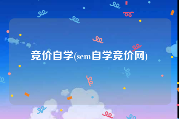 竞价自学(sem自学竞价网)
