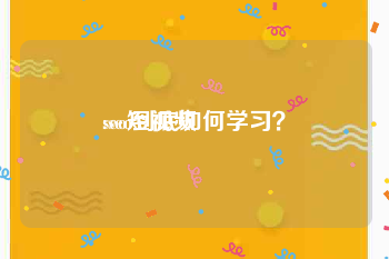 seo短视频
:seo到底如何学习？