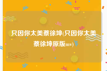 只因你太美蔡徐坤(只因你太美蔡徐坤原版mv)