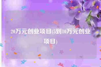20万元创业项目(5到10万元创业项目)