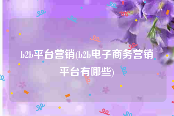 b2b平台营销(b2b电子商务营销平台有哪些)
