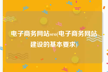 电子商务网站seo(电子商务网站建设的基本要求)