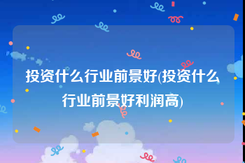 投资什么行业前景好(投资什么行业前景好利润高)