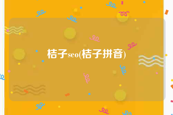 桔子seo(桔子拼音)