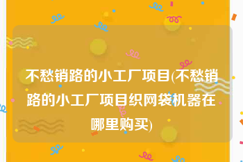 不愁销路的小工厂项目(不愁销路的小工厂项目织网袋机器在哪里购买)