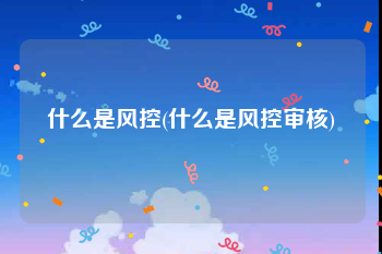 什么是风控(什么是风控审核)