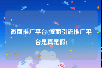 微商推广平台(微商引流推广平台是真是假)