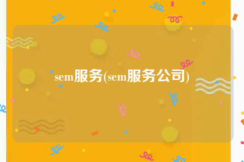 sem服务(sem服务公司)