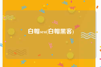 白帽seo(白帽黑客)