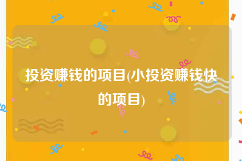 投资赚钱的项目(小投资赚钱快的项目)