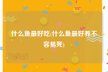 什么鱼最好吃(什么鱼最好养不容易死)
