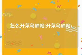怎么开菜鸟驿站(开菜鸟驿站)