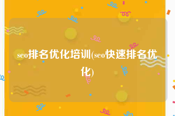 seo排名优化培训(seo快速排名优化)