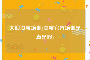 大浪淘宝培训(淘宝官方培训是真是假)
