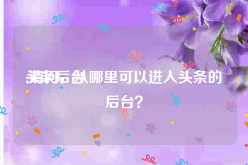 头条后台
:请问，从哪里可以进入头条的后台？