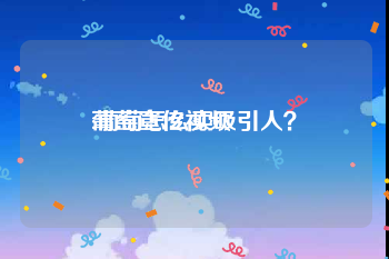 葡萄宣传视频
:葡萄怎么卖吸引人？