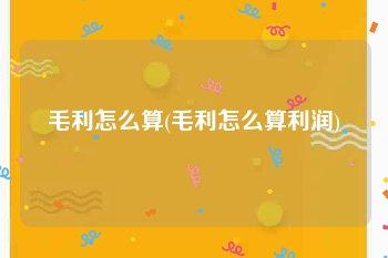 毛利怎么算(毛利怎么算利润)