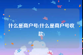什么是商户号(什么是商户号收款)