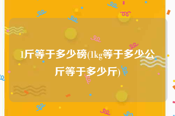 1斤等于多少磅(1kg等于多少公斤等于多少斤)