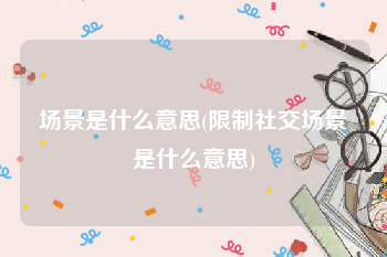场景是什么意思(限制社交场景是什么意思)