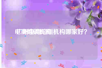 电商培训机构
:广州电商培训机构哪家好?