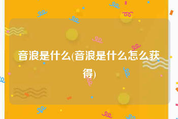 音浪是什么(音浪是什么怎么获得)