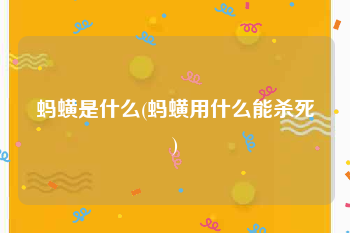 蚂蟥是什么(蚂蟥用什么能杀死)