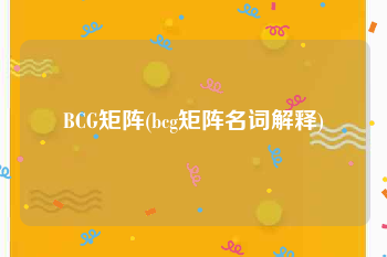 BCG矩阵(bcg矩阵名词解释)