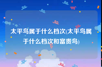 太平鸟属于什么档次(太平鸟属于什么档次和富贵鸟)