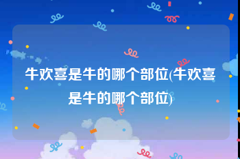 牛欢喜是牛的哪个部位(牛欢喜是牛的哪个部位)