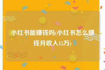 小红书能赚钱吗(小红书怎么赚钱月收入15万)